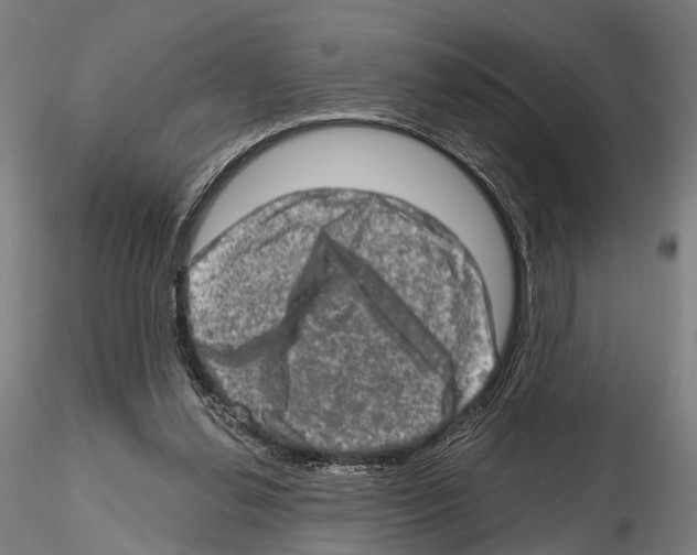 X0000114650252200912011119