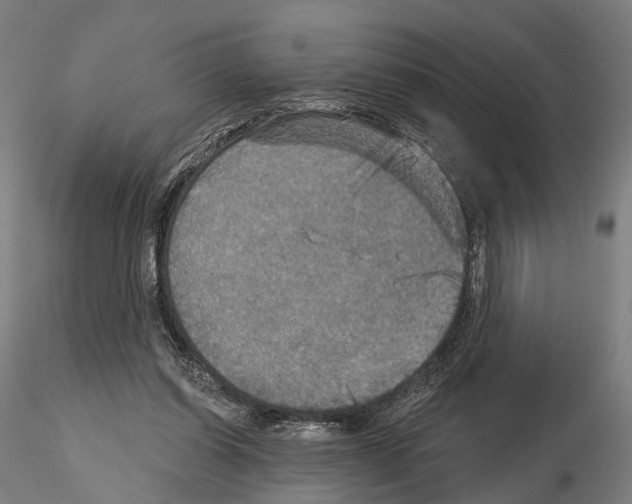 X0000114650254200912011119