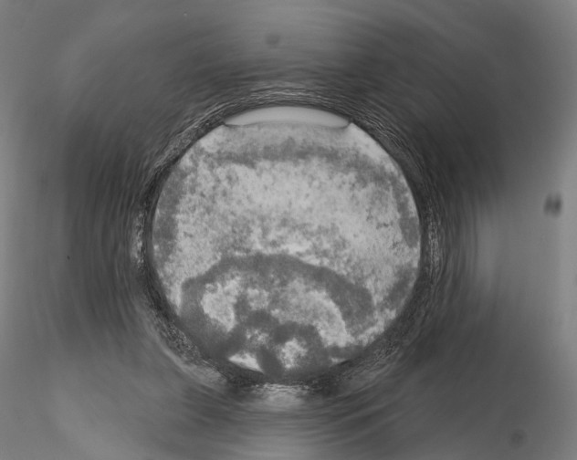 X0000114650255200912011119