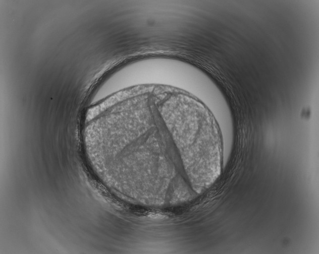 X0000114650256200912011119