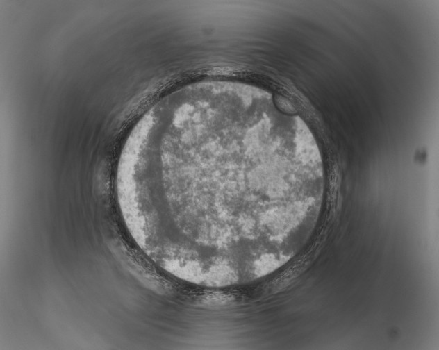 X0000114650257200912011119