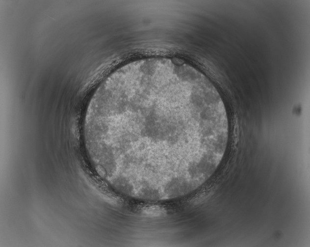 X0000114650258200912011119