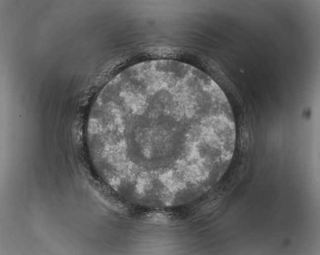 X0000114650259200912011119