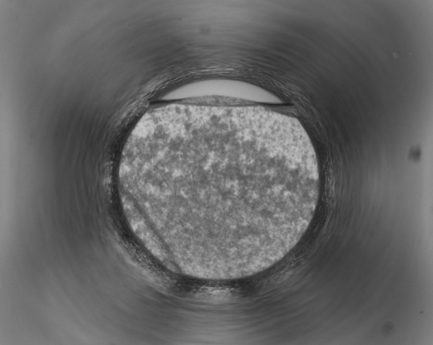 X0000114650260200912011119