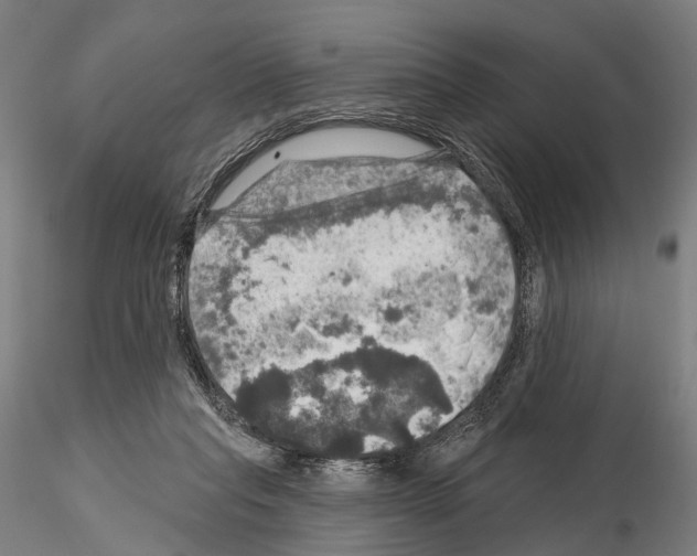 X0000114650261200912011119