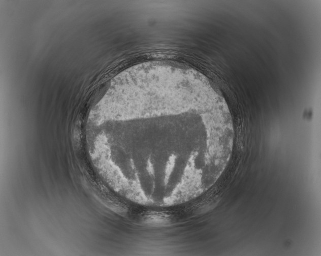 X0000114650263200912011119