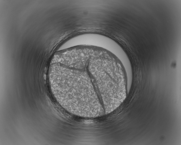 X0000114650264200912011119