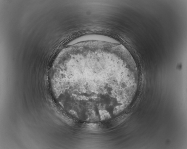 X0000114650265200912011119