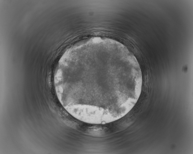 X0000114650267200912011119