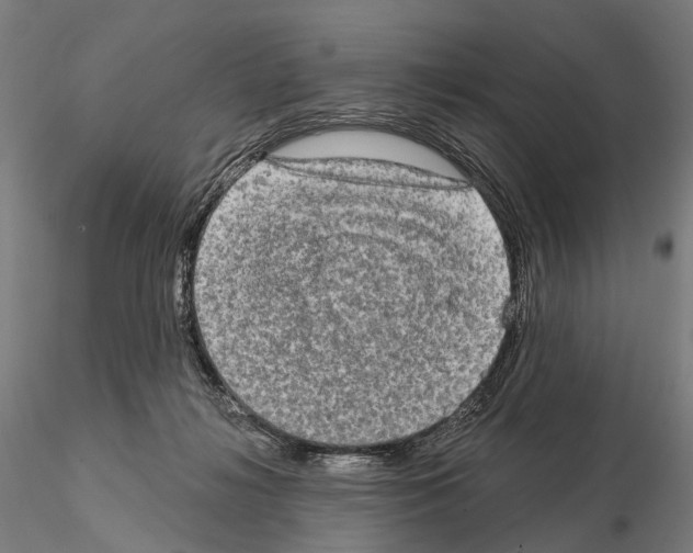 X0000114650268200912011119