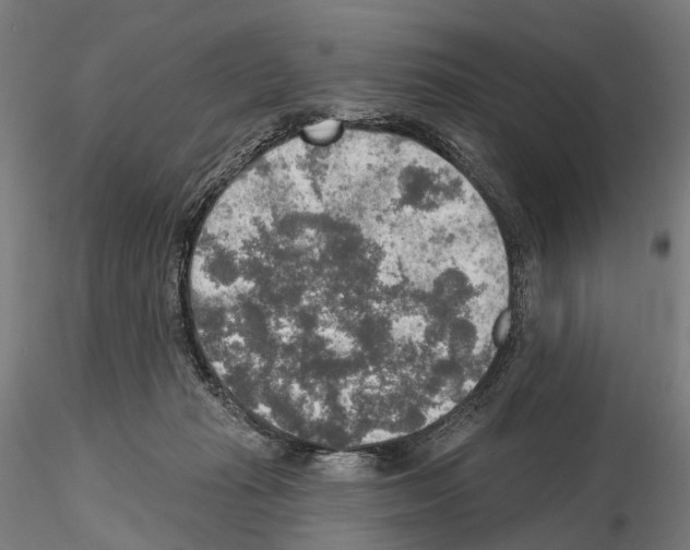 X0000114650269200912011119