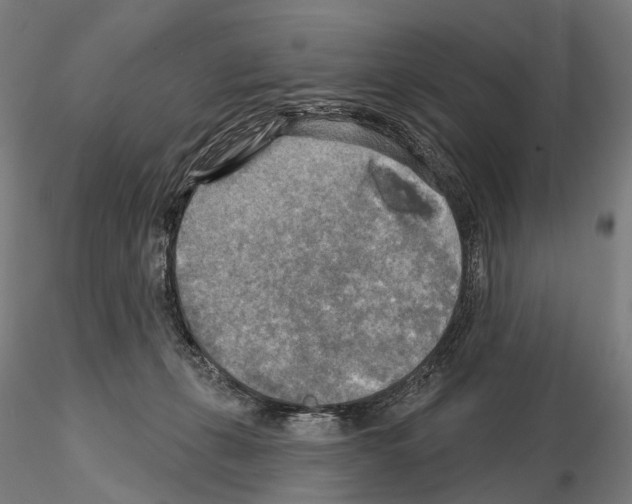 X0000114650271200912011119