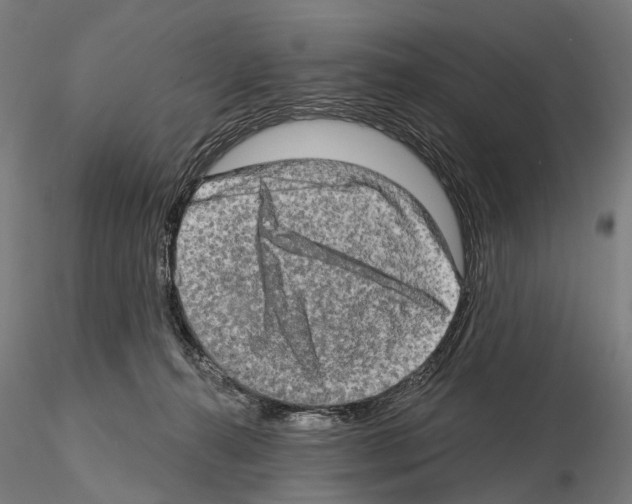 X0000114650272200912011119