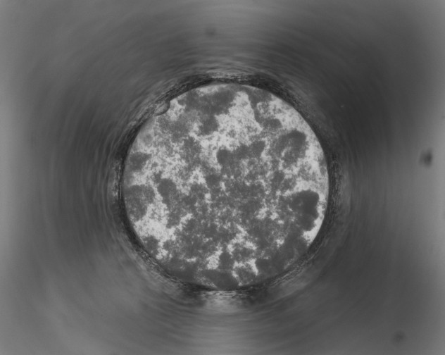 X0000114650273200912011119