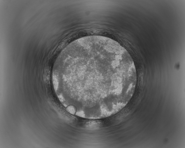 X0000114650274200912011119