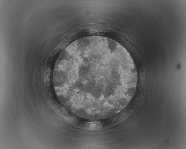 X0000114650275200912011119