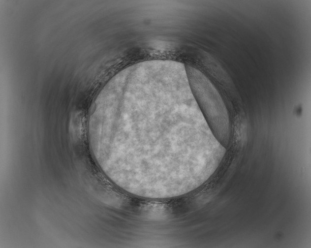 X0000114650276200912011119