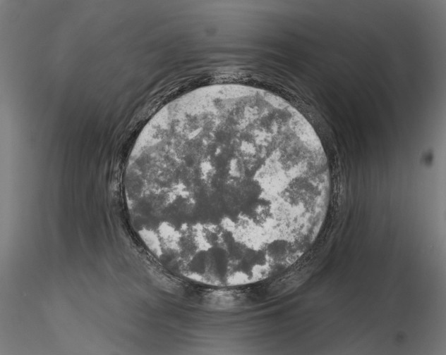 X0000114650277200912011119