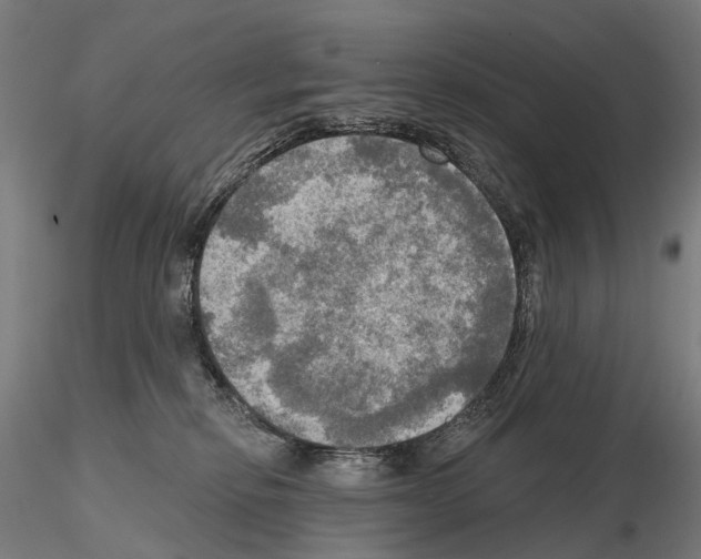 X0000114650278200912011119