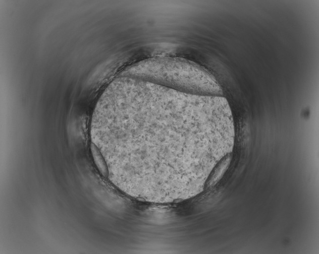 X0000114650280200912011119