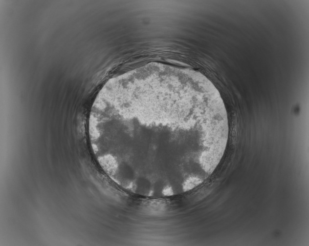 X0000114650282200912011119