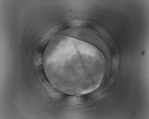 X0000114650284200912011119