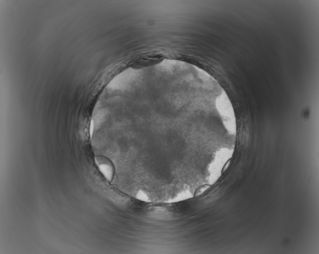 X0000114650285200912011119