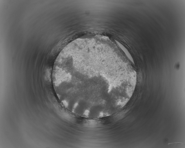 X0000114650286200912011119