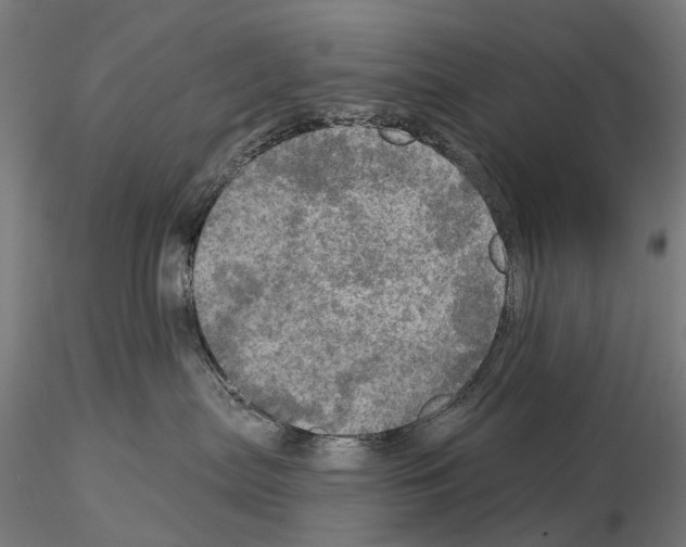 X0000114650287200912011119