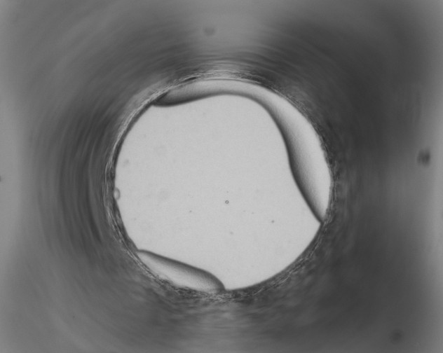 X0000114650289200912011118