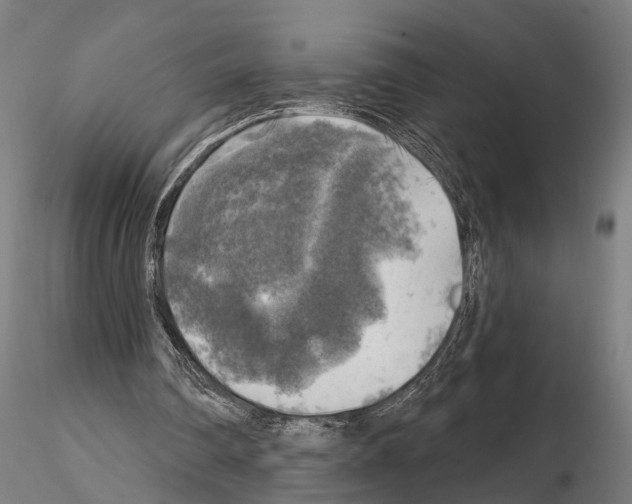 X0000114650290200912011118