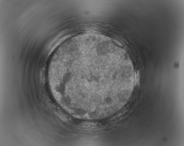 X0000114650291200912011118