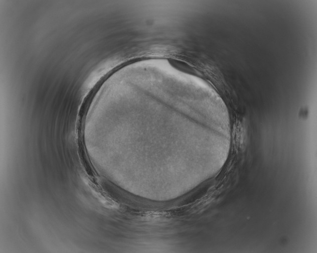 X0000114650292200912011118