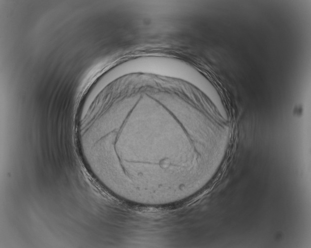 X0000114650293200912011118