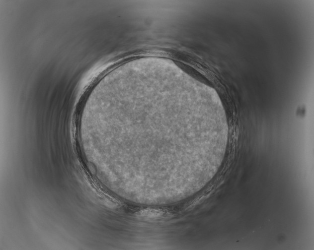 X0000114650294200912011118