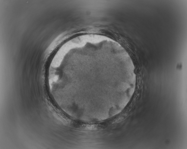 X0000114650295200912011118