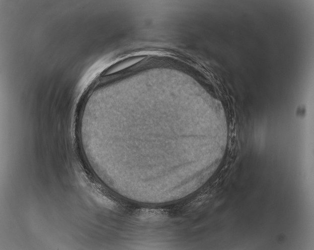 X0000114650296200912011118