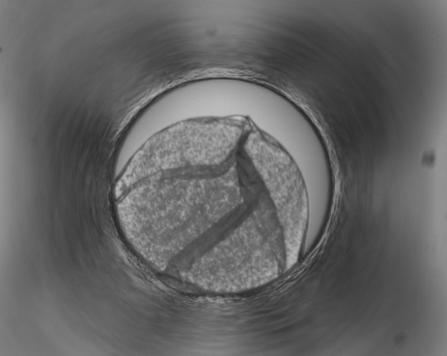 X0000114650297200912011118