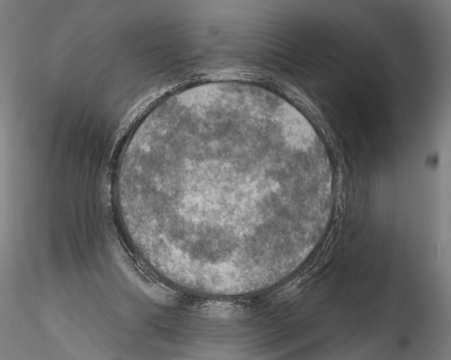 X0000114650298200912011118