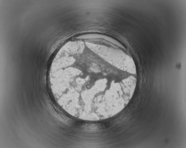 X0000114650299200912011118