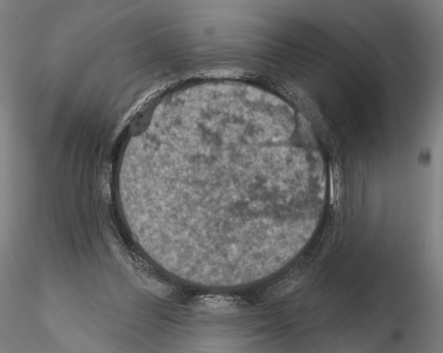 X0000114650300200912011118