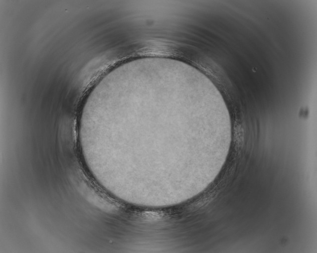 X0000114650302200912011118