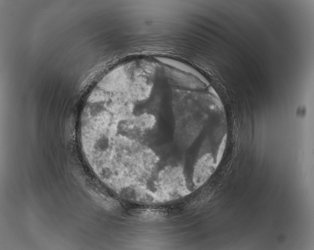 X0000114650303200912011118