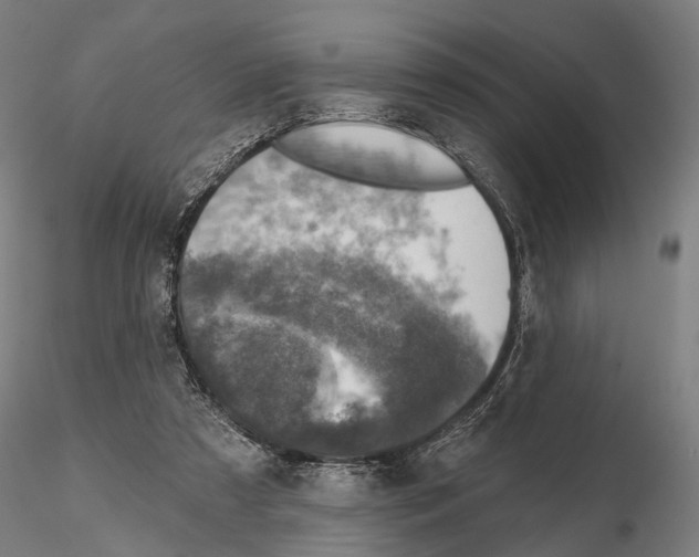 X0000114650305200912011118