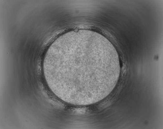 X0000114650306200912011118