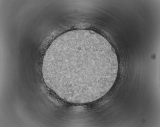 X0000114650307200912011118