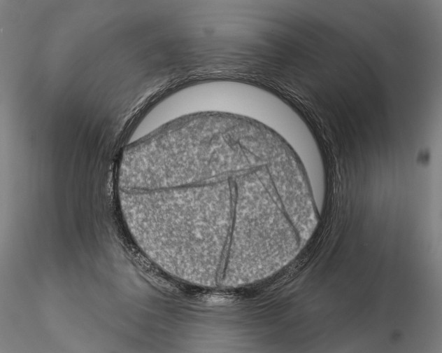 X0000114650308200912011118