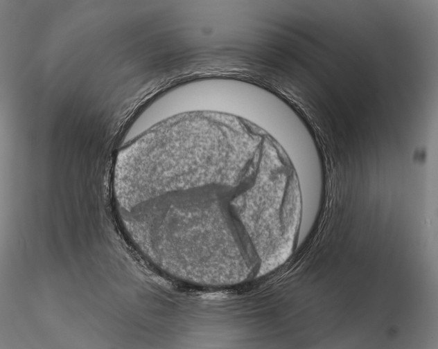 X0000114650309200912011118