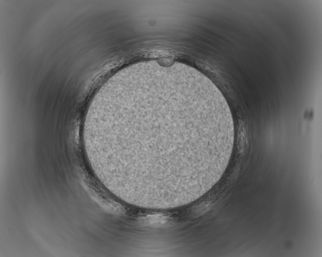 X0000114650310200912011118