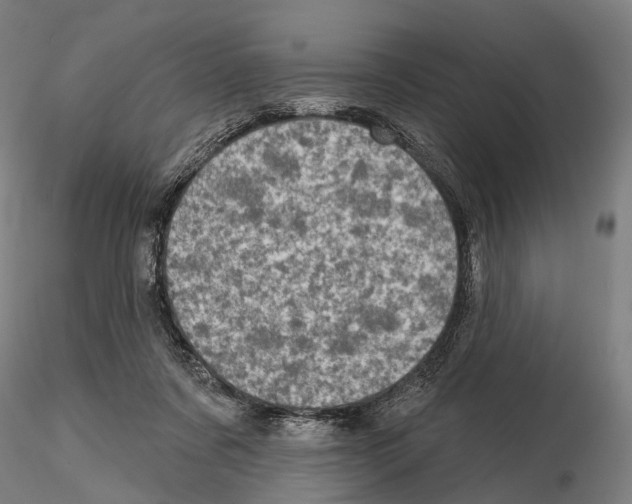 X0000114650311200912011118